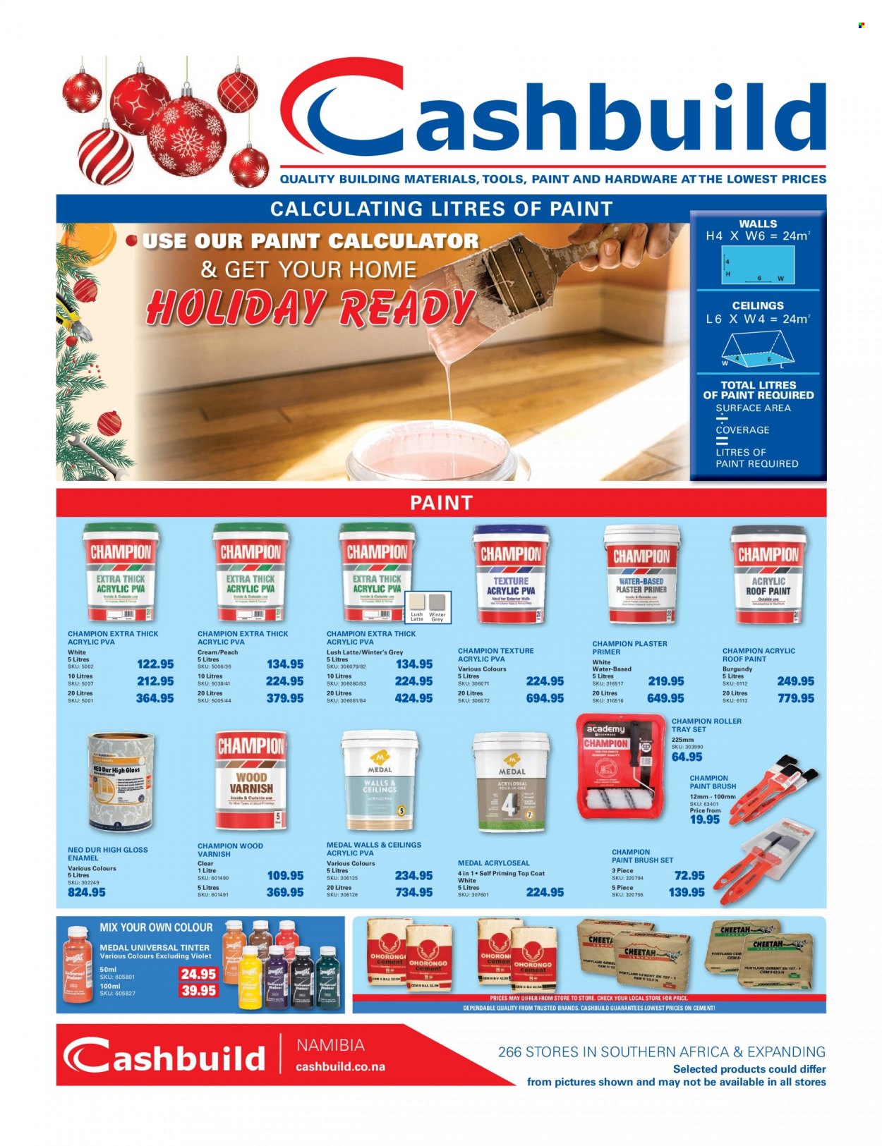 Cashbuild catalogue  - 22/12/2022 - 22/01/2023 - Sales products - gloss enamel, acrylic PVA, paint brush, roller, brush set, roller tray set, top coat, Medal, plaster primer, roof paint. Page 1.