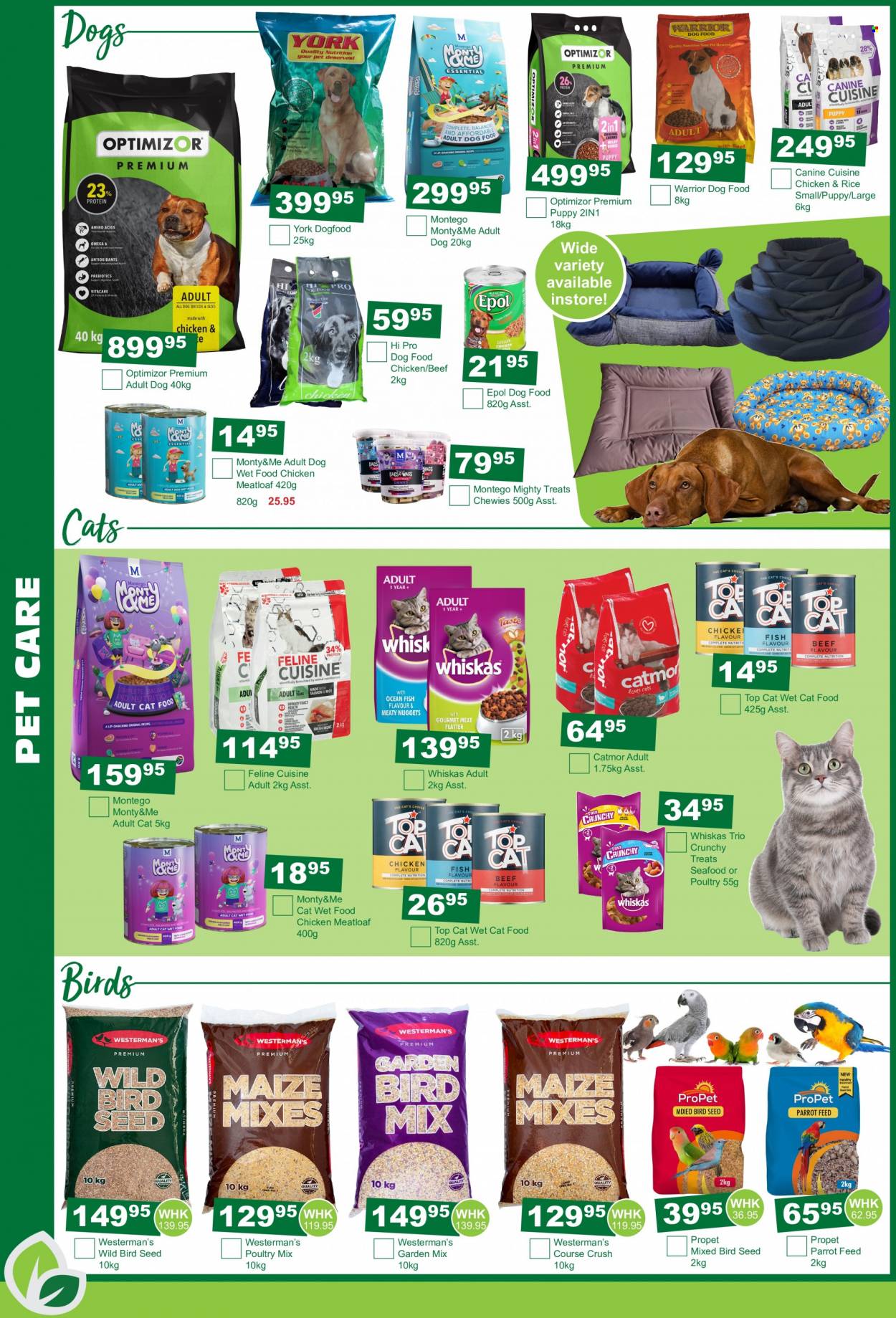 Agra catalogue  - 19/07/2022 - 21/08/2022 - Sales products - animal food, bird food, cat food, dog food, wet dog food, Whiskas, wet cat food, seed, Parrot. Page 6.